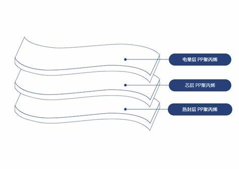 CPP FOOD PACKAGING FILM