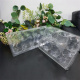 Transparent rigid PET tray clamshell