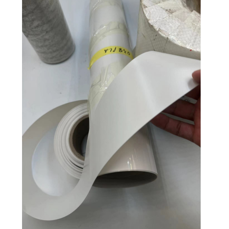 PLA Biodegradable dinnerware PACKING