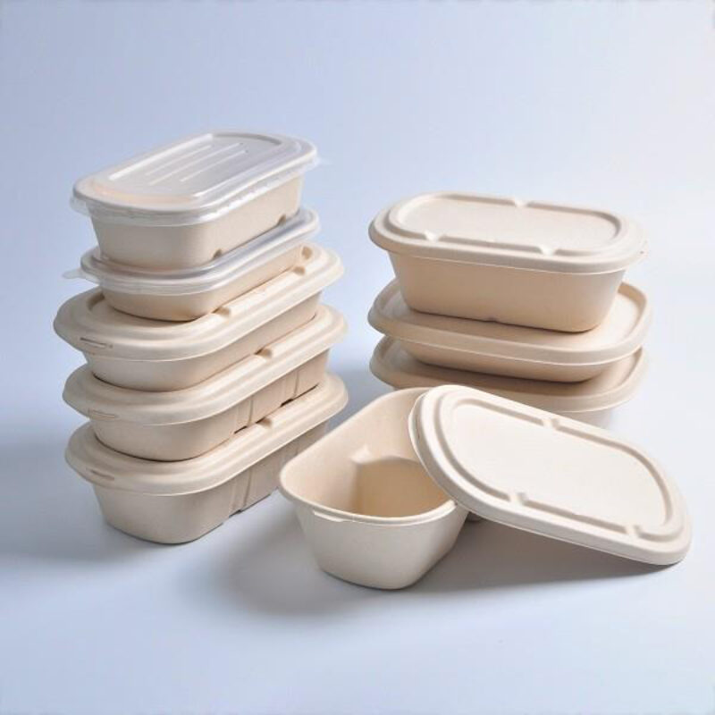 PLA Biodegradable dinnerware PACKING