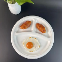 TL-PET-146 PET TERMOFORMIRANJE za pladenj za enkratno uporabo