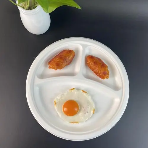 TL-PET-146 PET TERMOFORMIRANJE za pladenj za enkratno uporabo