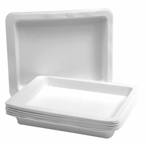 TL-PET-146 PET TERMOFORMIRANJE za pladenj za enkratno uporabo