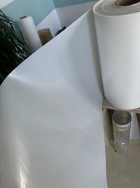 TL-PET-146 PET TERMOFORMIRANJE za pladenj za enkratno uporabo