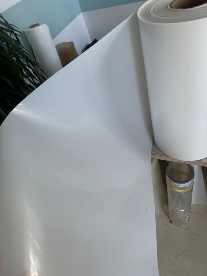 TL-PET-146 PET TERMOFORMIRANJE za pladenj za enkratno uporabo