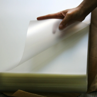 Película termoformable TL-PP-316 PP/EVOH/PP para bandejas, cuencos y tazas de alimentos