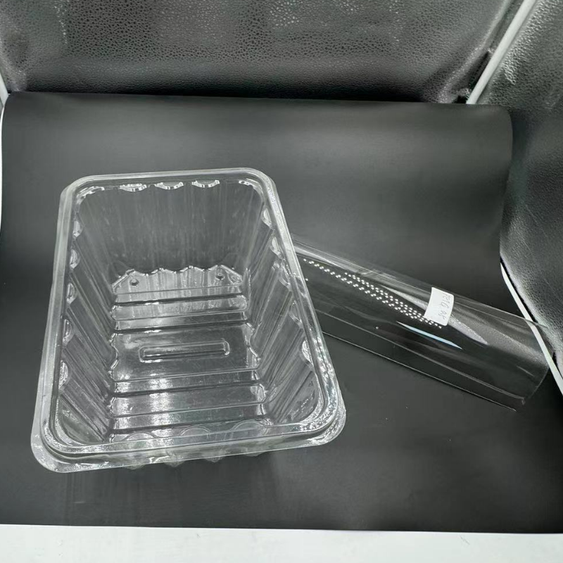 TL-PET-152 Die vielseitigen Einsatzmöglichkeiten von Blisterboxen aus transparenter PET-Folie