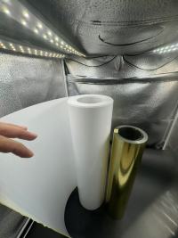 TL-HIPS-510 LA FEUILLE HANCHES POUR LE THERMOFORMAGE DES PRODUITS BLISTER