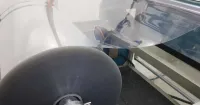 TL-PET-155 Prozorna PET folija za škatlo za pakiranje hrane