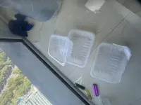 Plastična embalaža za enkratno uporabo PP pladenj za sadje za hrano