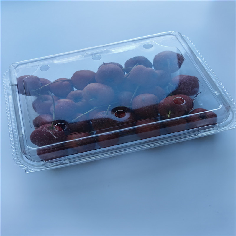 Visokokakovostna školjkasta embalaža PET plastična škatla