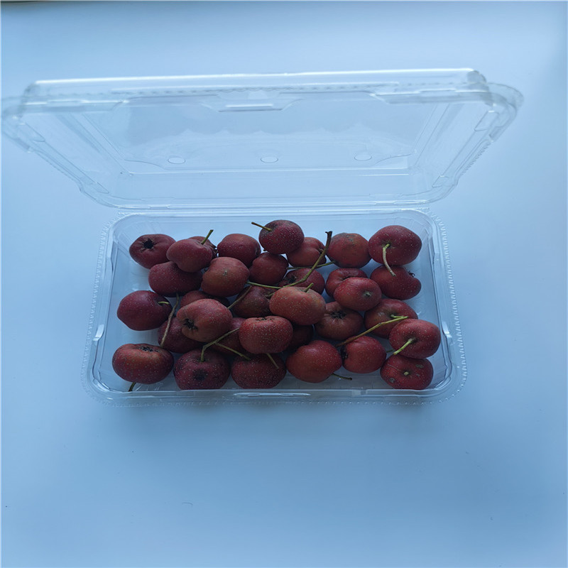 Caja tipo almeja de alta calidad que empaqueta la caja de plástico PET