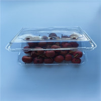 Transparenter Blister-Clamshell-Verpackungs-Lebensmittelbehälter aus PET-Kunststoff