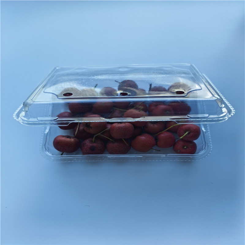 Transparenter Blister-Clamshell-Verpackungs-Lebensmittelbehälter aus PET-Kunststoff