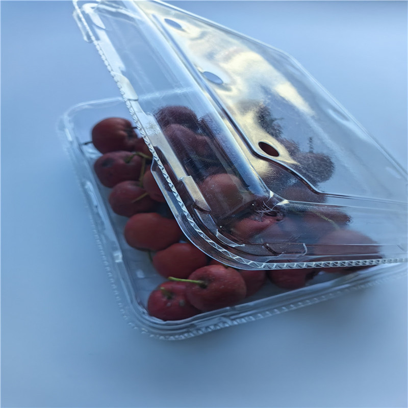 Transparenter Blister-Clamshell-Verpackungs-Lebensmittelbehälter aus PET-Kunststoff