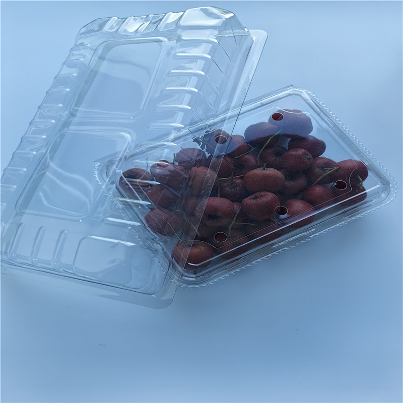 Transparenter Blister-Clamshell-Verpackungs-Lebensmittelbehälter aus PET-Kunststoff