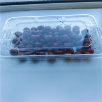 Plastic PET box Food Vegetables Containers PET Fruits Packaging