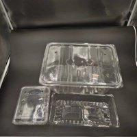 Plateaux en plastique d'ANIMAL FAMILIER de récipient de nourriture surgelée de légume de fruit