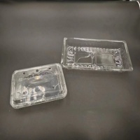 Plateaux en plastique d'ANIMAL FAMILIER de récipient de nourriture surgelée de légume de fruit