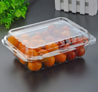 Film PET TL-PET-159 pour récipient à plateau d'assiettes alimentaires jetable