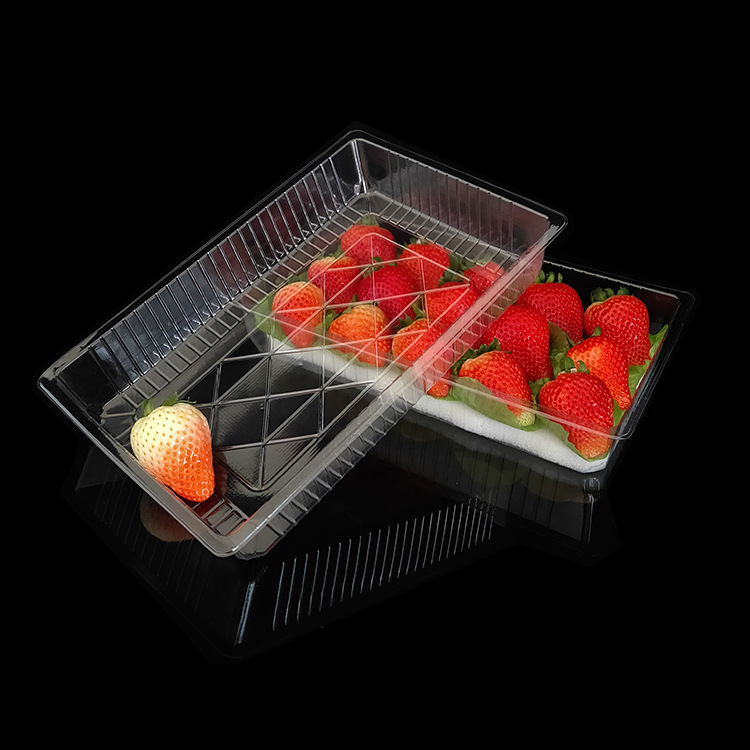 TRANSPARENT PET FOOD TRAY