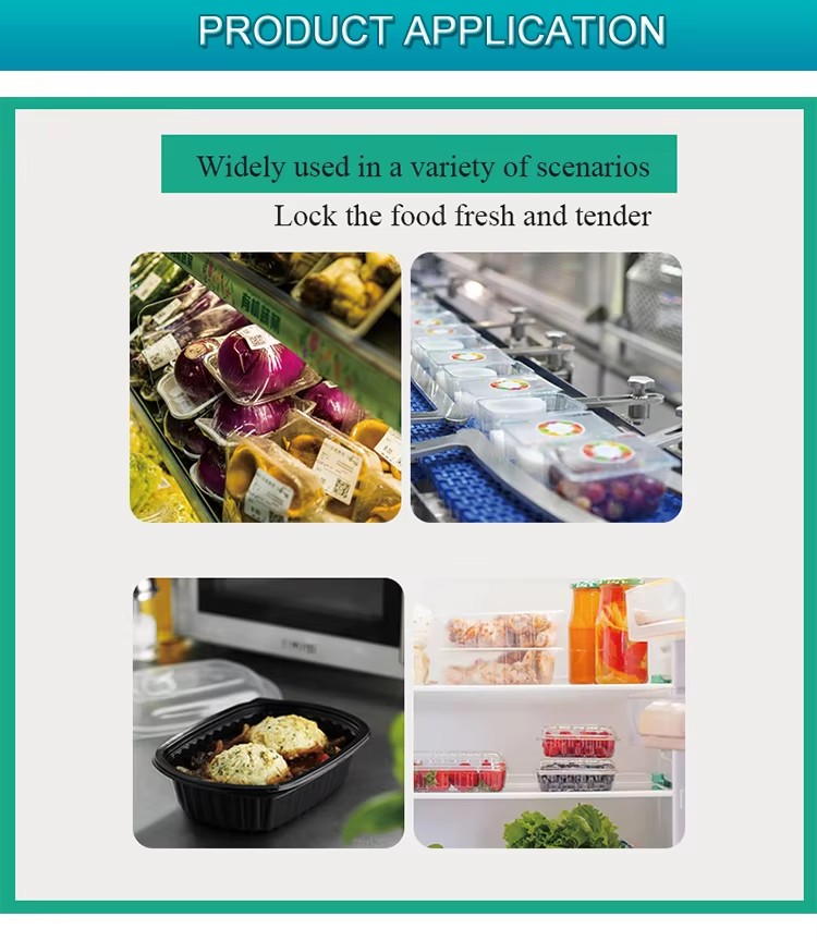 PP Food Packing Trays