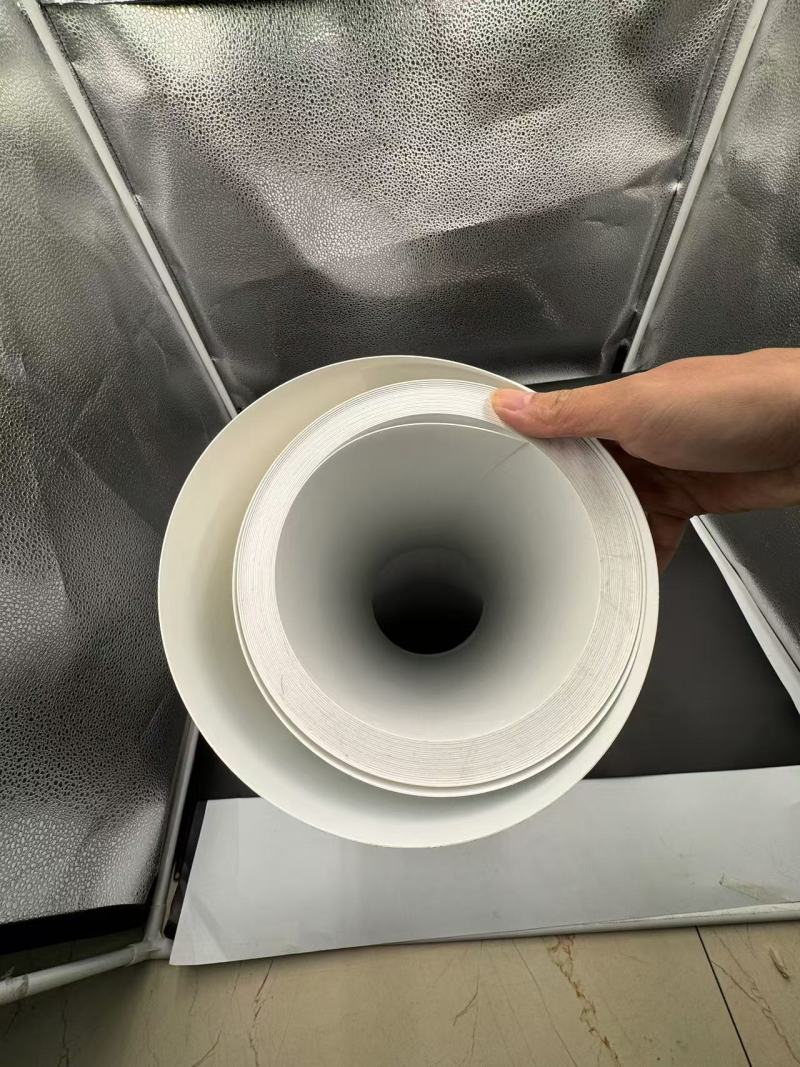 TL-PS-516 Les applications polyvalentes du thermoformage du film PS blanc