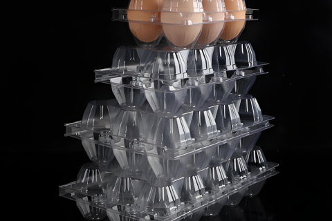 Plateau à œufs en plastique PET