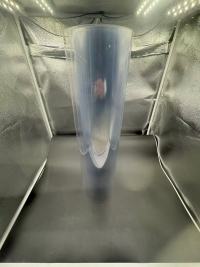 TL-PET-168 màng PET dùng cho bao bì ép nhiệt thực phẩm trái cây