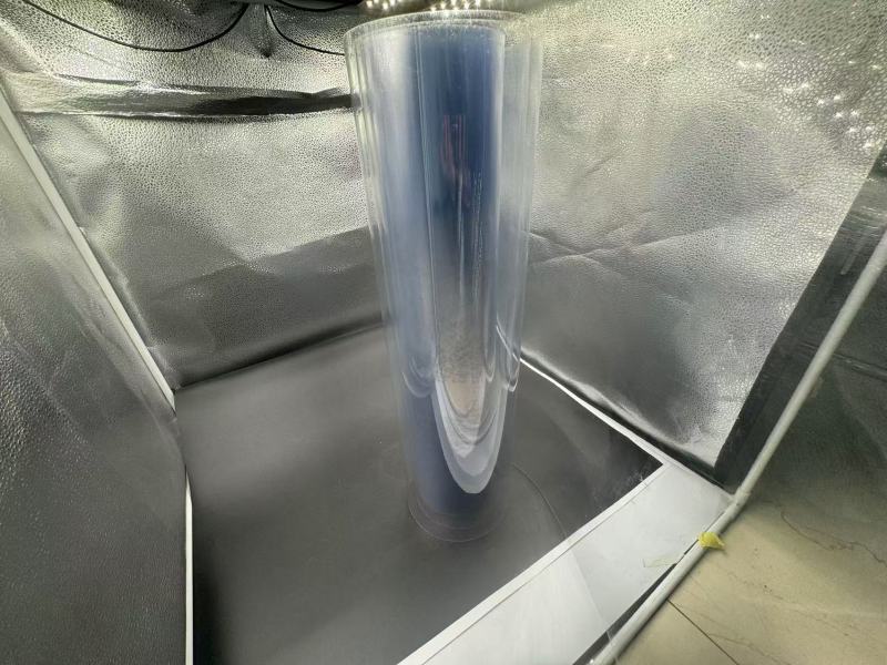 TL-PET-168 màng PET dùng cho bao bì ép nhiệt thực phẩm trái cây