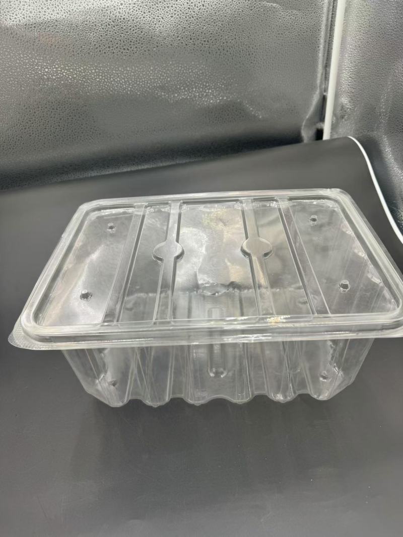 Boîte blister PET TL-PET-172 pour stock alimentaire, affichage,