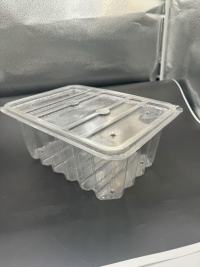 Boîte blister PET TL-PET-172 pour stock alimentaire, affichage,