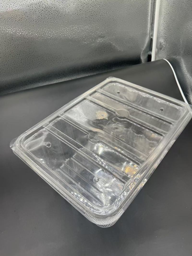 Boîte blister PET TL-PET-172 pour stock alimentaire, affichage,