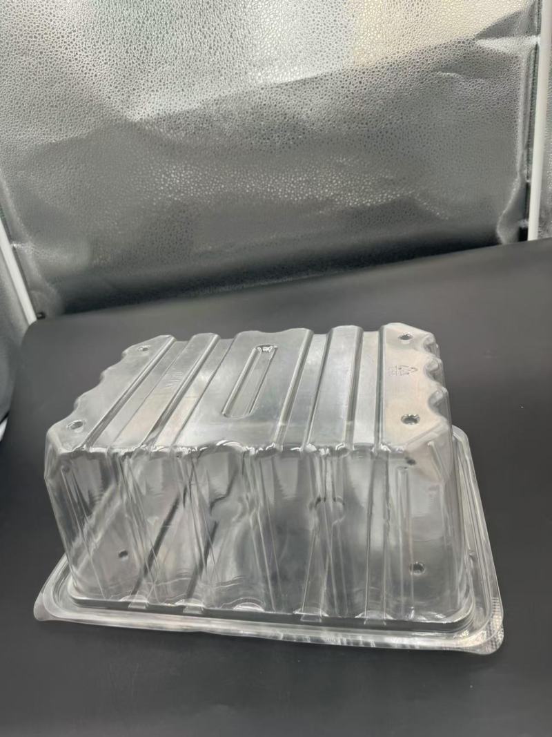 Boîte blister PET TL-PET-172 pour stock alimentaire, affichage,