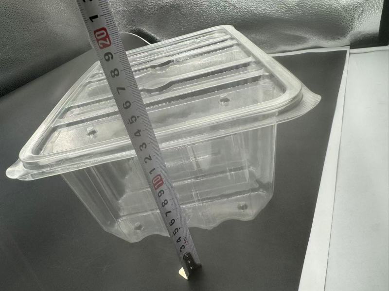 Boîte blister PET TL-PET-172 pour stock alimentaire, affichage,