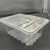 Boîte blister PET TL-PET-172 pour stock alimentaire, affichage,