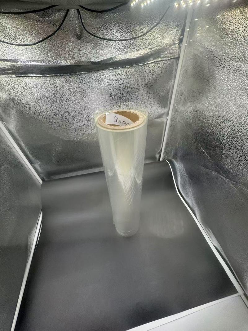 TL-BOPP-338 Applications polyvalentes du film BOPP transparent dans le laminage des couvertures de livres