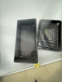 TL-PP-339 Utilisation polyvalente des plateaux en PP dans l'emballage alimentaire, boîte à légumes