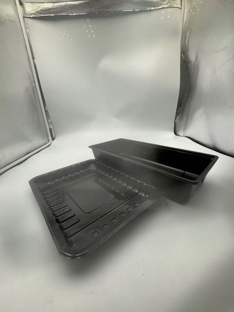 TL-PP-339 Utilisation polyvalente des plateaux en PP dans l'emballage alimentaire, boîte à légumes