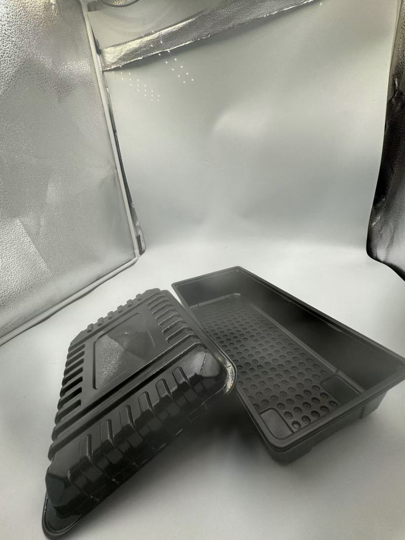 TL-PP-339 Utilisation polyvalente des plateaux en PP dans l'emballage alimentaire, boîte à légumes