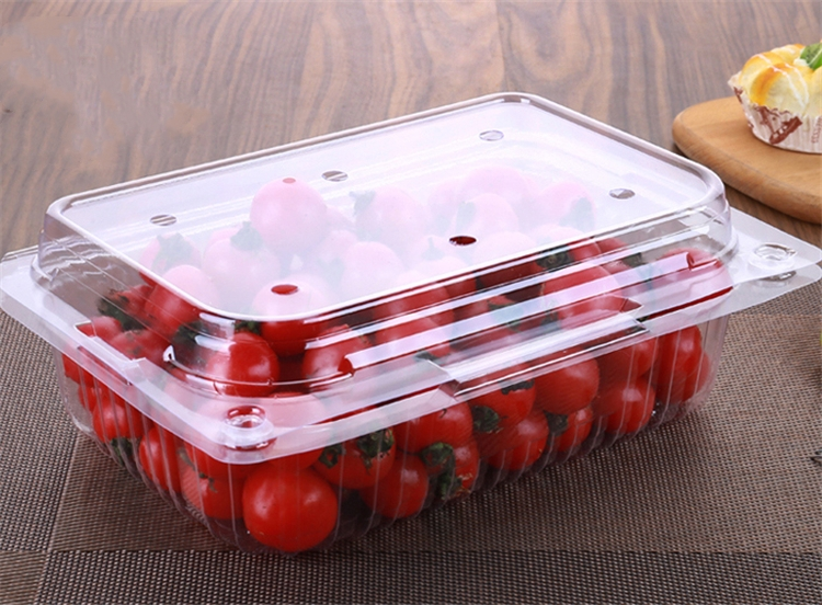 pet fruit container