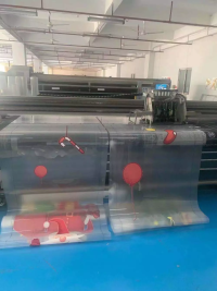 TL-PET-181 Película PET imprimible para películas de transferencia y embalajes imprimibles