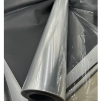 TL-PET-181 Película PET imprimible para películas de transferencia y embalajes imprimibles