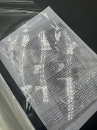 BOPP 346 Vsestranska uporaba prozorne fleksibilne folije BOPP v več sektorjih pakiranja