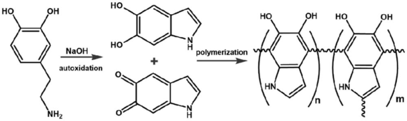 PETG192 Đặc điểm và ứng dụng đóng gói của màng co PETG trong suốt
