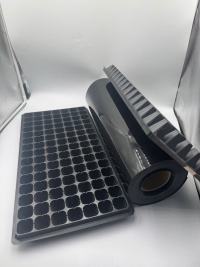 527PS Die vielseitige Anwendung von PS-Folie in Lebensmittel-Blisterverpackungen und Setzlingsschalen