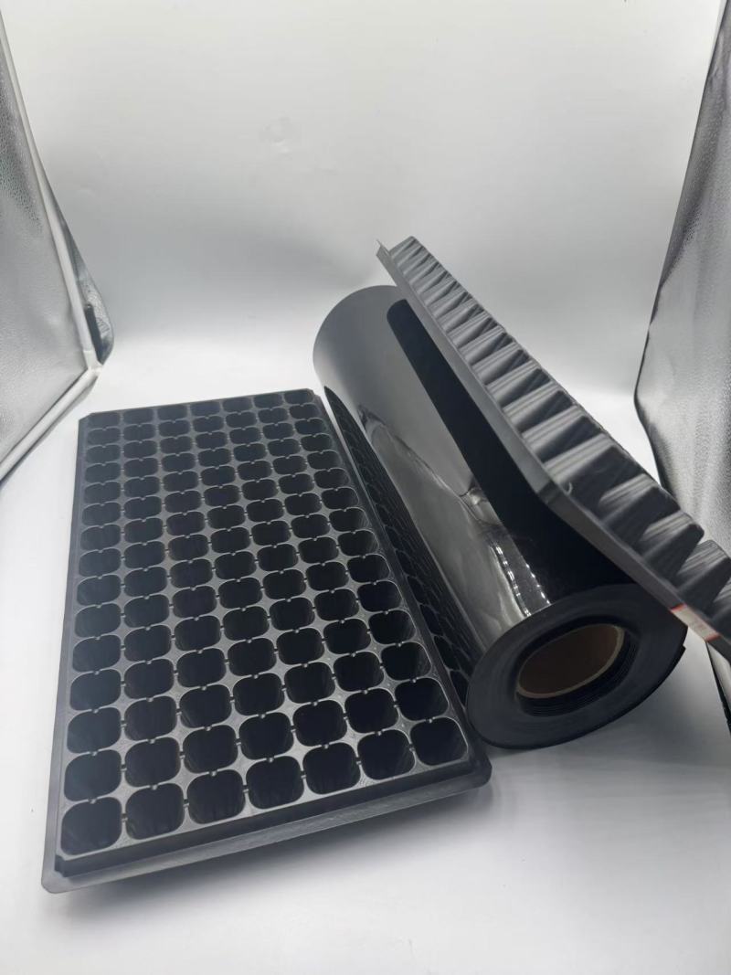 527PS Die vielseitige Anwendung von PS-Folie in Lebensmittel-Blisterverpackungen und Setzlingsschalen