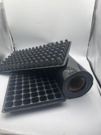 527PS Die vielseitige Anwendung von PS-Folie in Lebensmittel-Blisterverpackungen und Setzlingsschalen