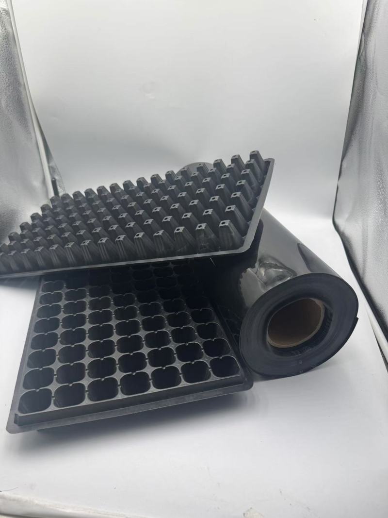 527PS Die vielseitige Anwendung von PS-Folie in Lebensmittel-Blisterverpackungen und Setzlingsschalen