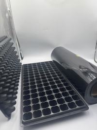 527PS Die vielseitige Anwendung von PS-Folie in Lebensmittel-Blisterverpackungen und Setzlingsschalen